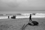 Africa-Togo-Fishing_at_Aneho.jpg