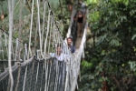 Malaysia-Taman_Negara-Canopy_walkway.jpg