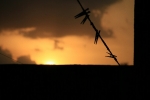 Africa-Togo-Kpalime_sunset.jpg