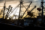 Manihiki-Morocco -Essaouira-Fishing-Boats.JPG