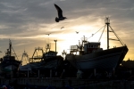 Manihiki-Morocco -Essaouira-Sunset.JPG