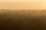 Guatemala-El_Mirador_Landscape.JPG